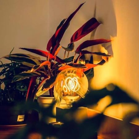 Casa Oscar: Entire Apartment Venice.Mestre Station 外观 照片