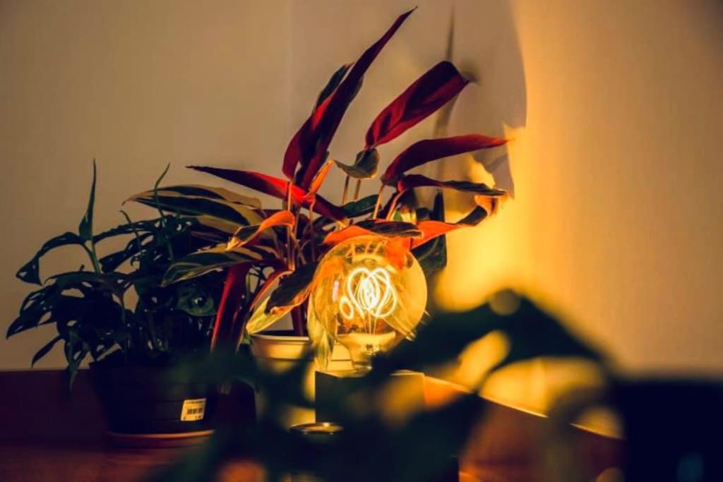 Casa Oscar: Entire Apartment Venice.Mestre Station 外观 照片